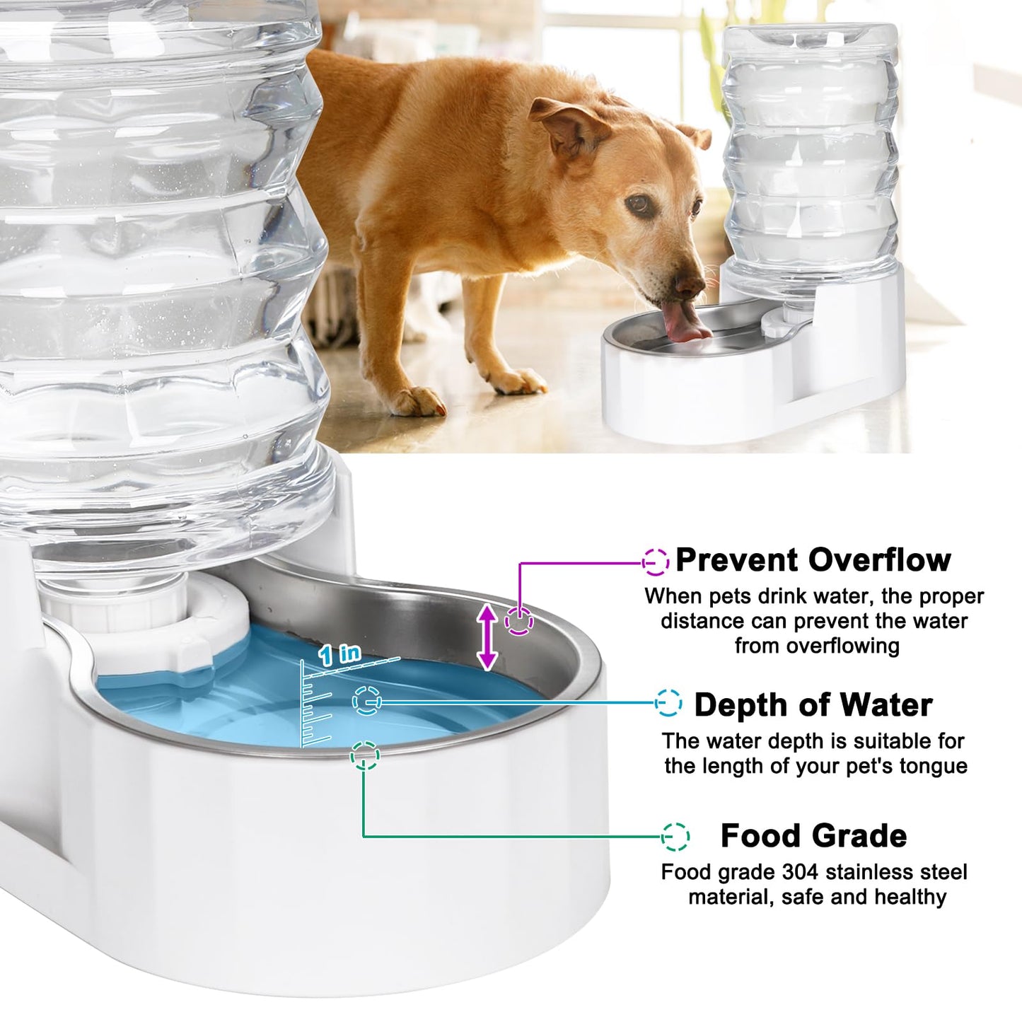 RIZZARI Automatic Pet Water Dispenser