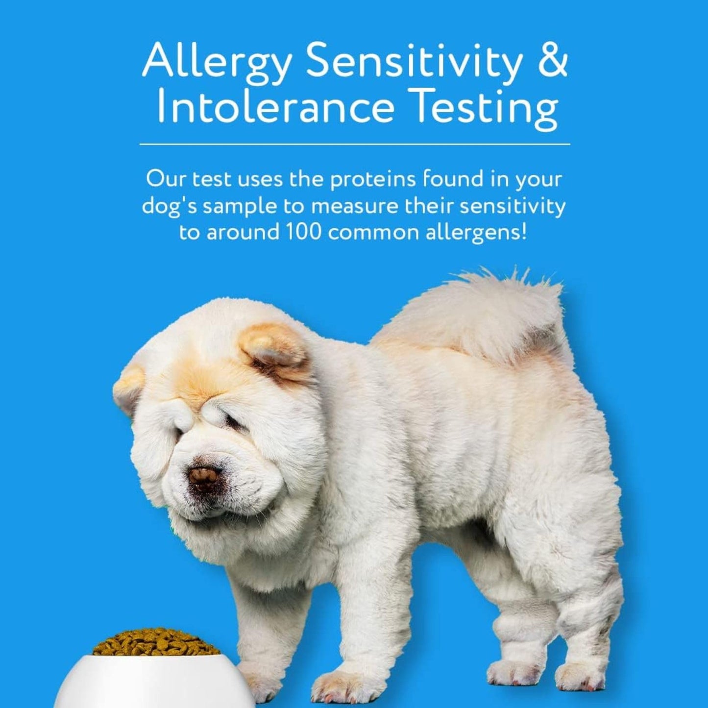 Dog Allergy Test Kit - Home Sample Collection