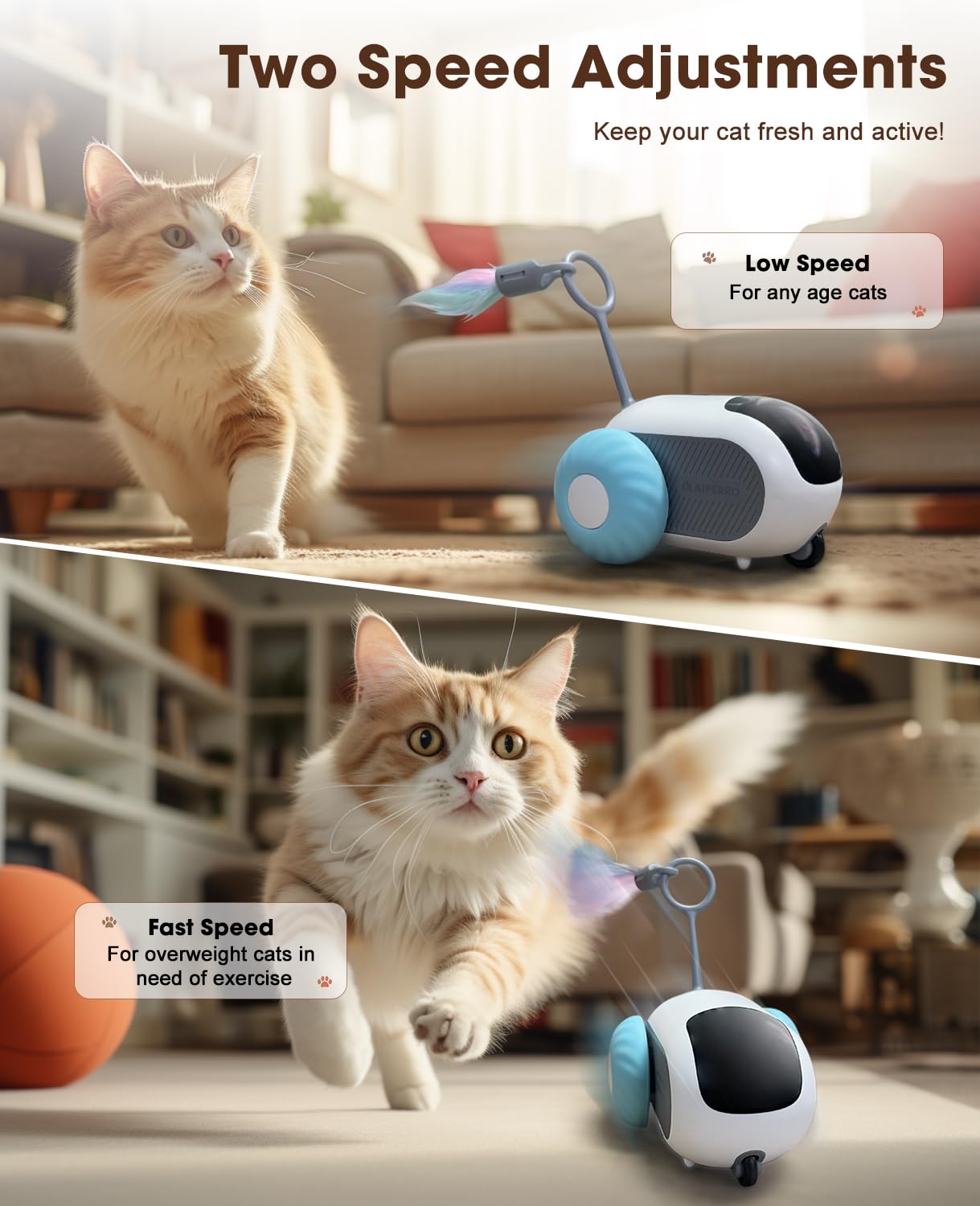 Interactive Cat Toy - Smart & Rechargeable