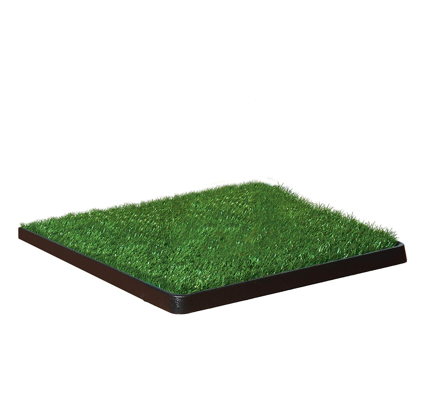 Wee-Wee Patch - Indoor/Outdoor Pet Potty