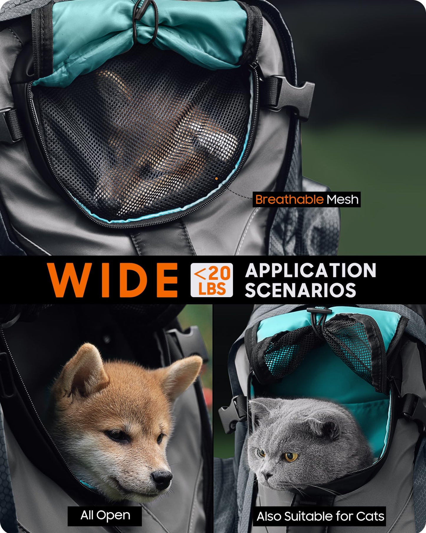 Pet and Laptop Backpack - Teal