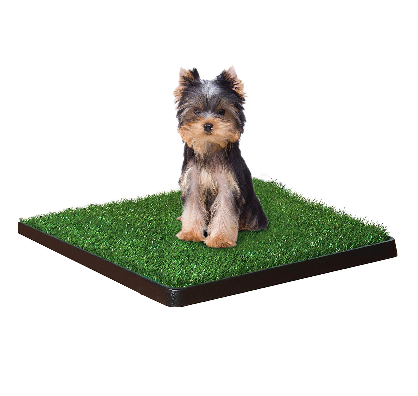 Wee-Wee Patch - Indoor/Outdoor Pet Potty