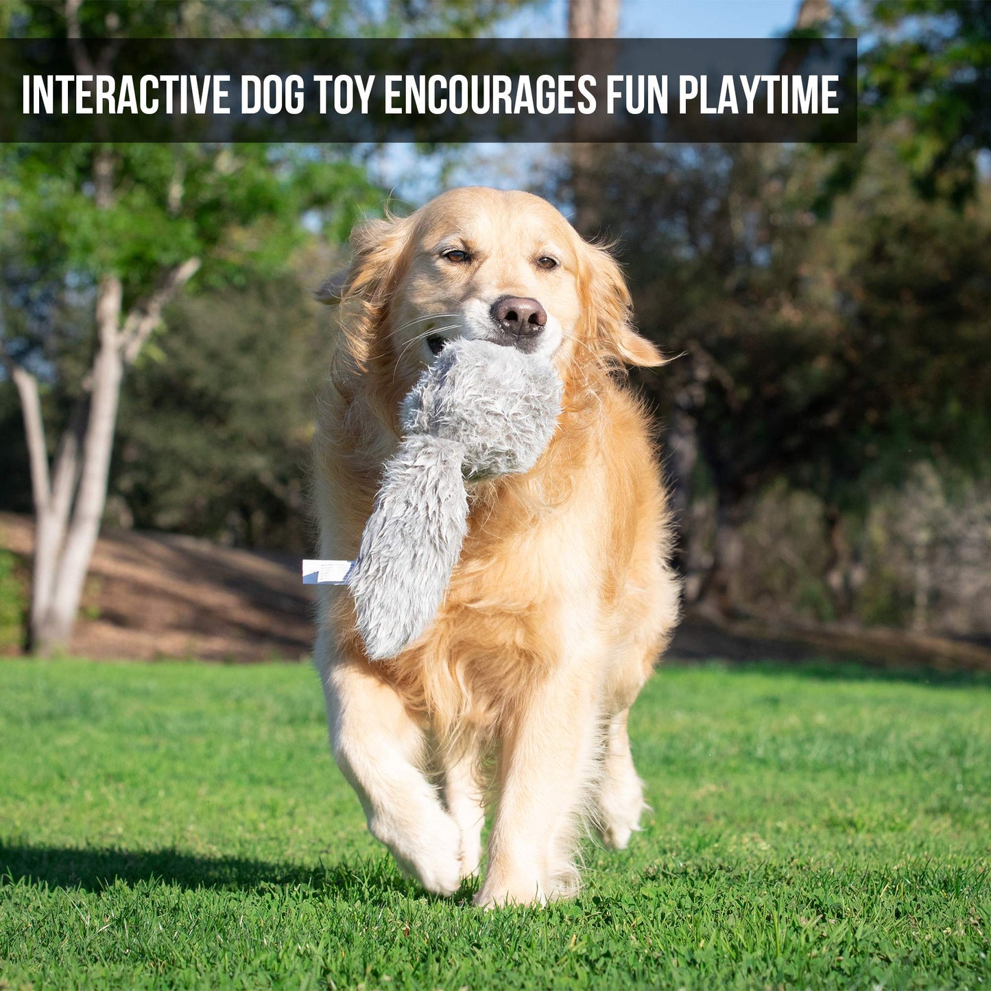 Interactive Plush Dog Toy - Wiggles & Barks