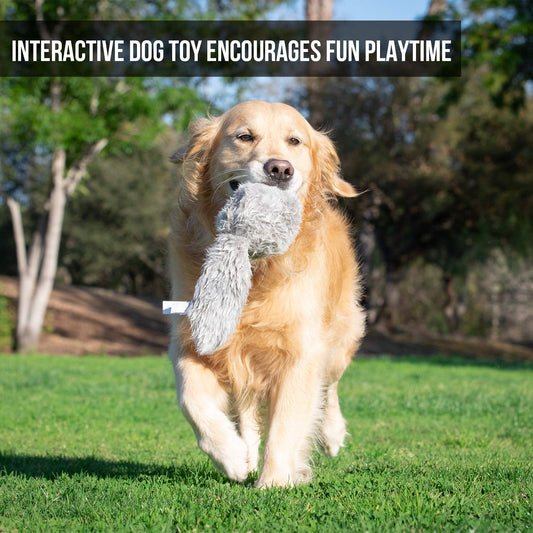 Interactive Plush Dog Toy - Wiggles & Barks