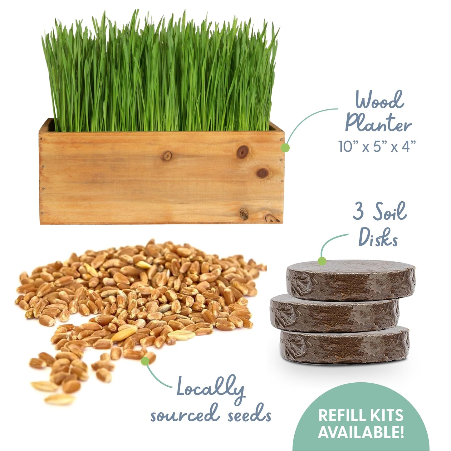 Organic Cat Grass Kit with Planter