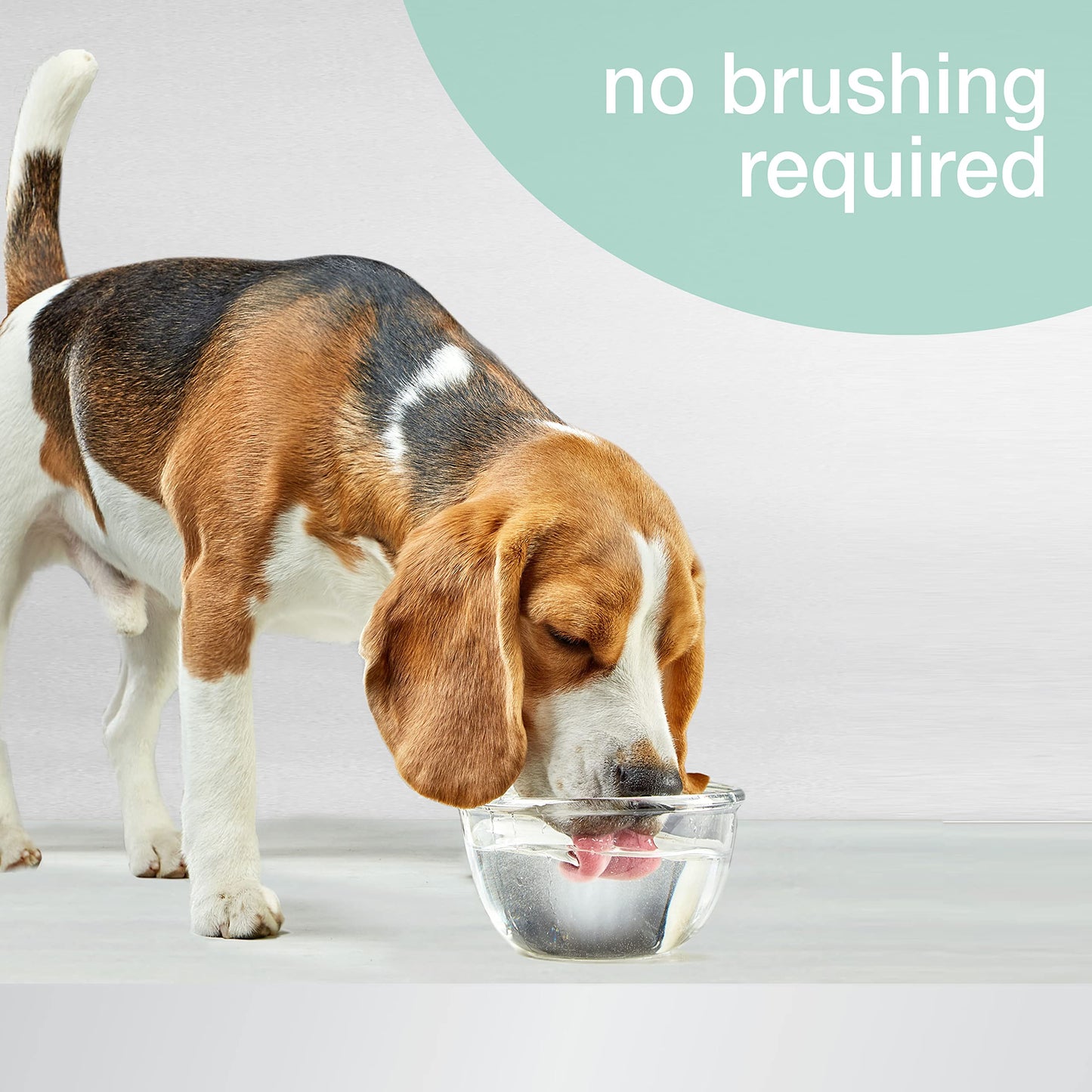Advanced Oral Care Cat & Dog Water Additive for Dental Care
