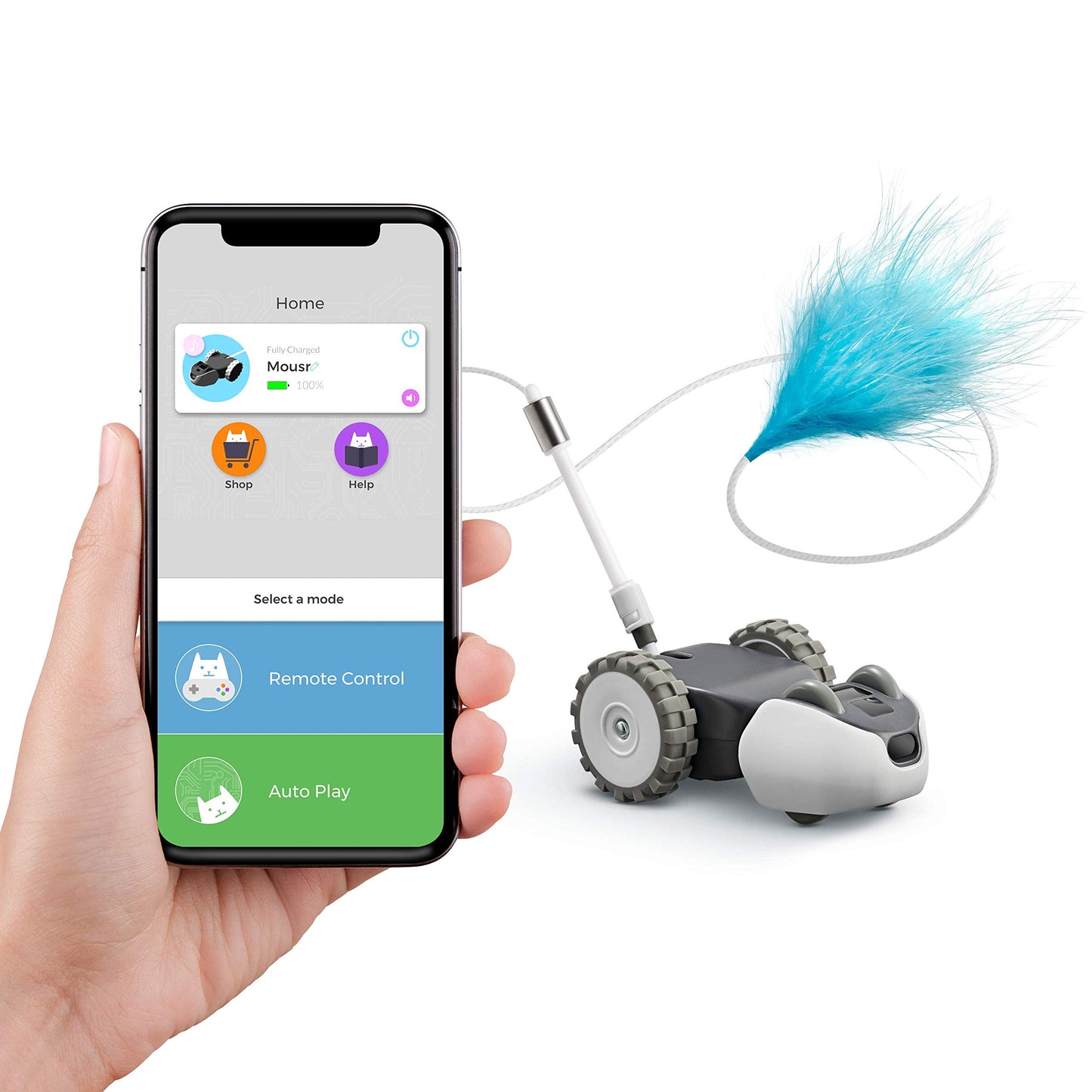 Interactive Robotic Cat Toy - Mousr