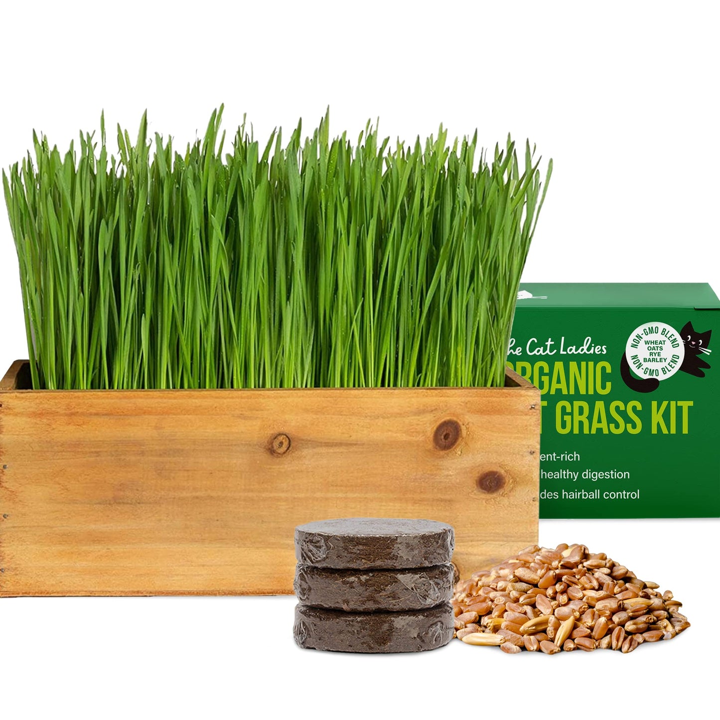 Organic Cat Grass Kit with Planter