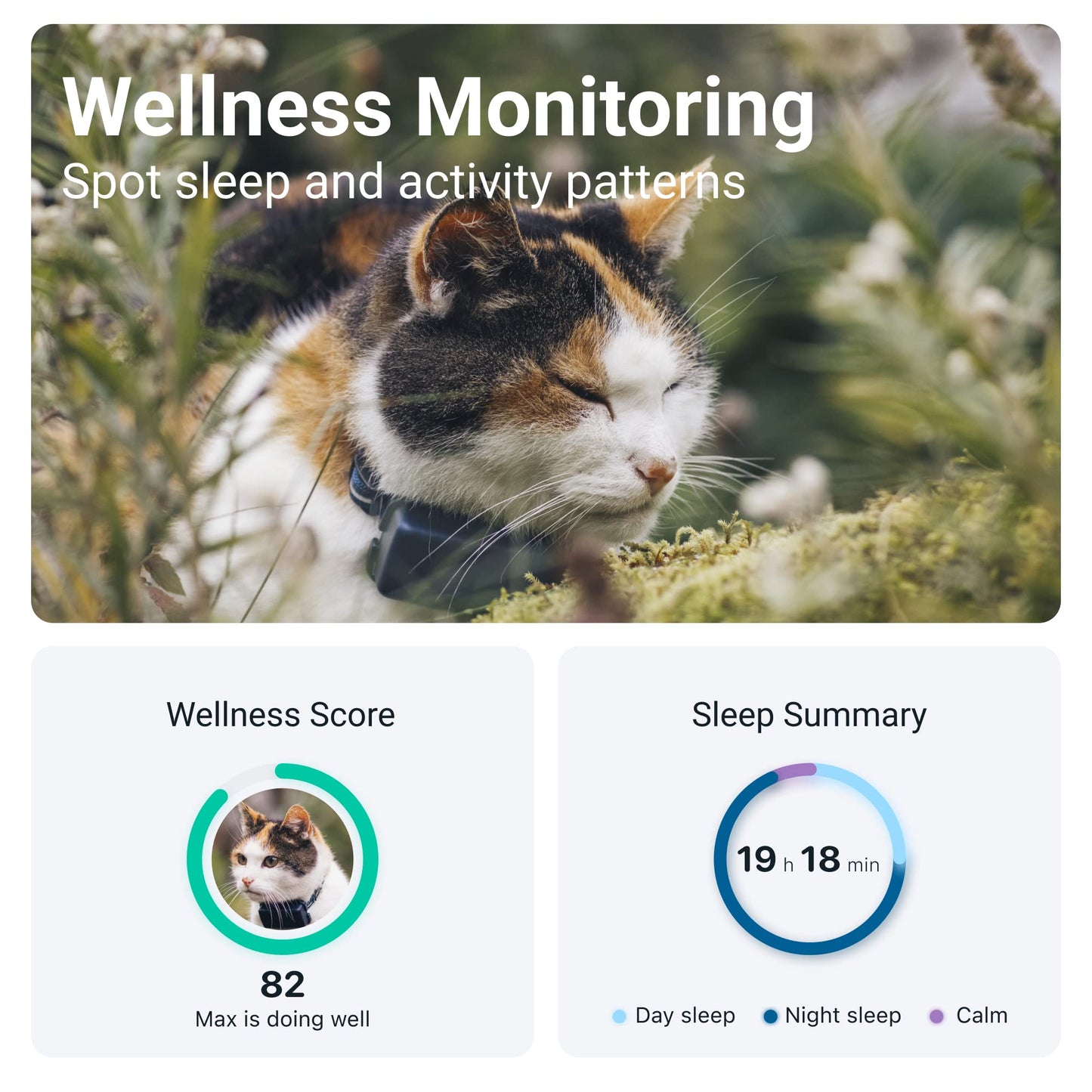 Cat GPS Tracker & Health Monitor - Dark Blue