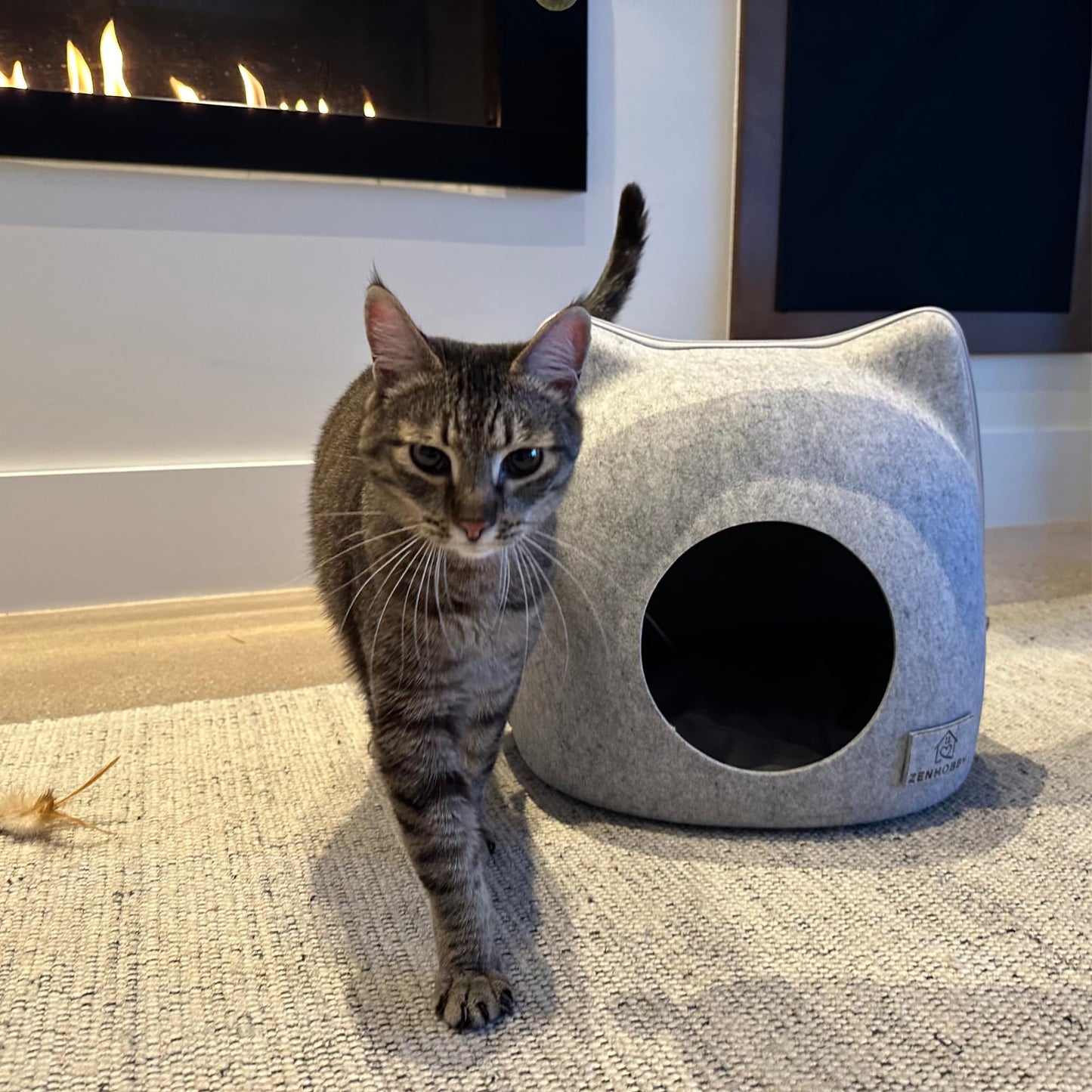 Cat Bed for Indoor Cats - Felt Cave, Pink