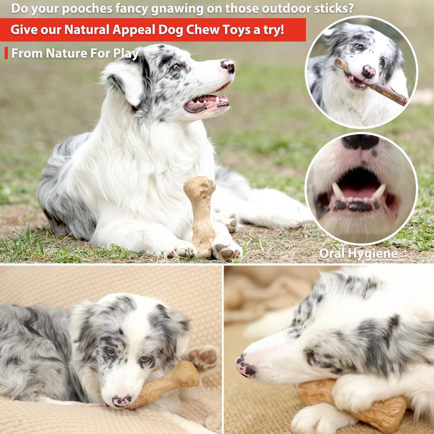 Dog Chew Toys - Tough, Pine Wood & Nylon