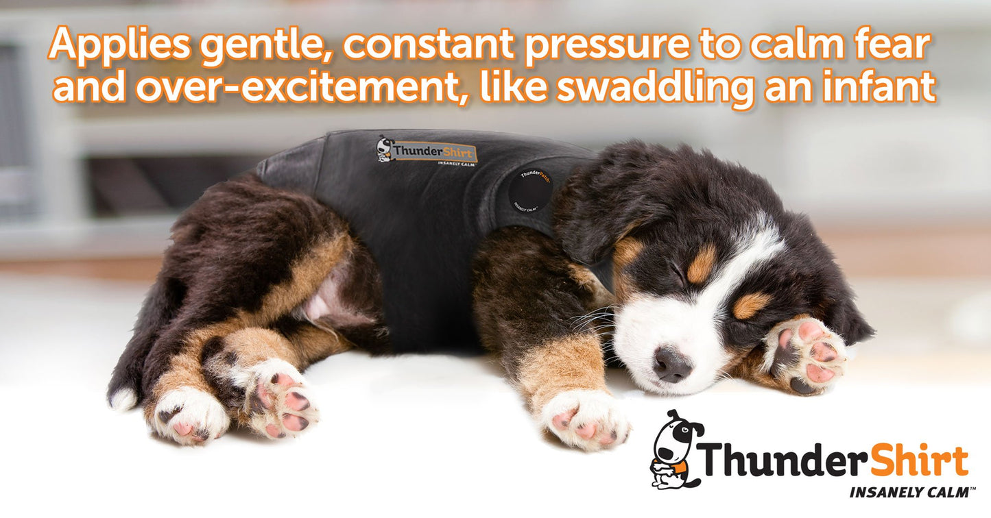 Dog Anxiety Relief Calming Vest