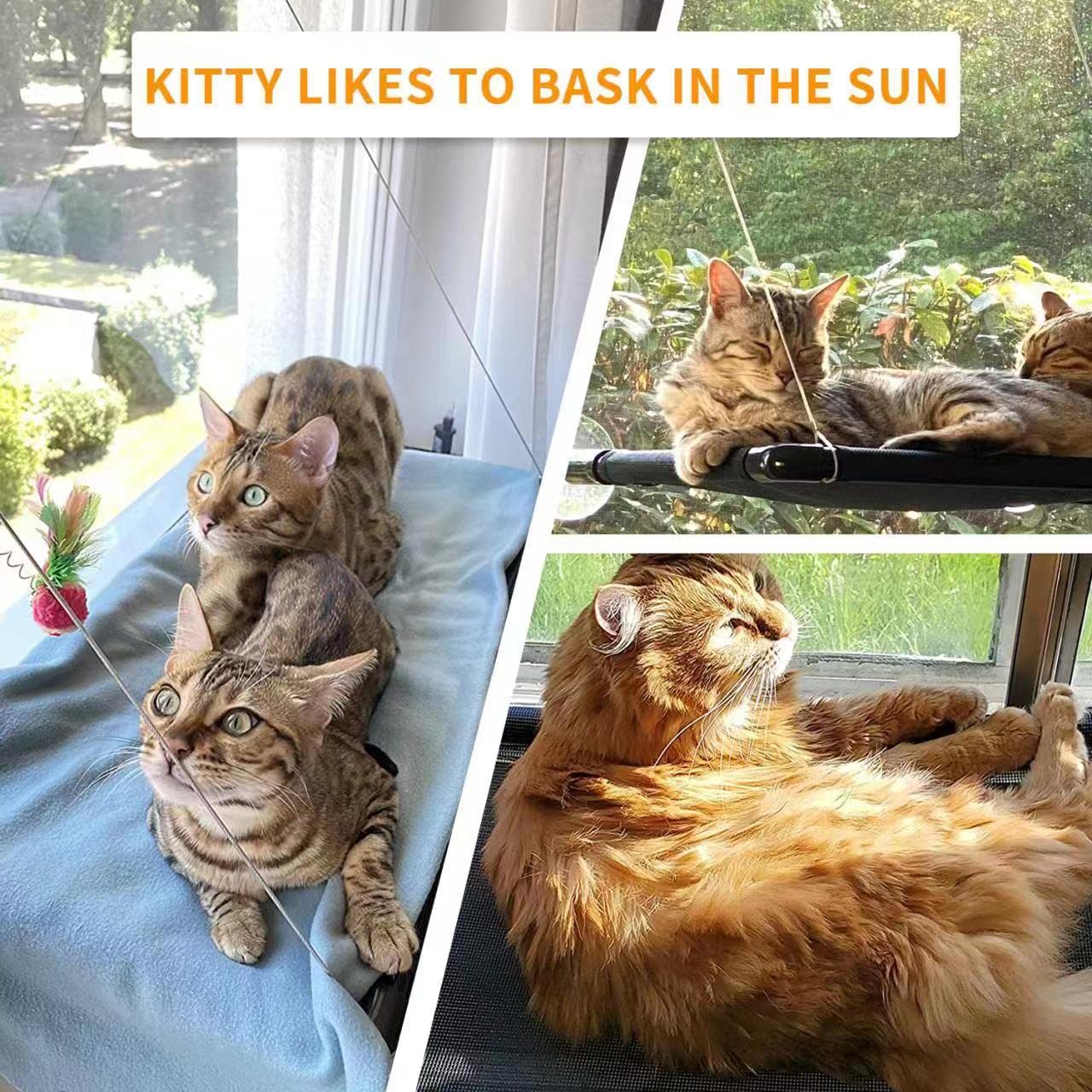 Cat Hammock for Window - Holds Up to 40 Lbs