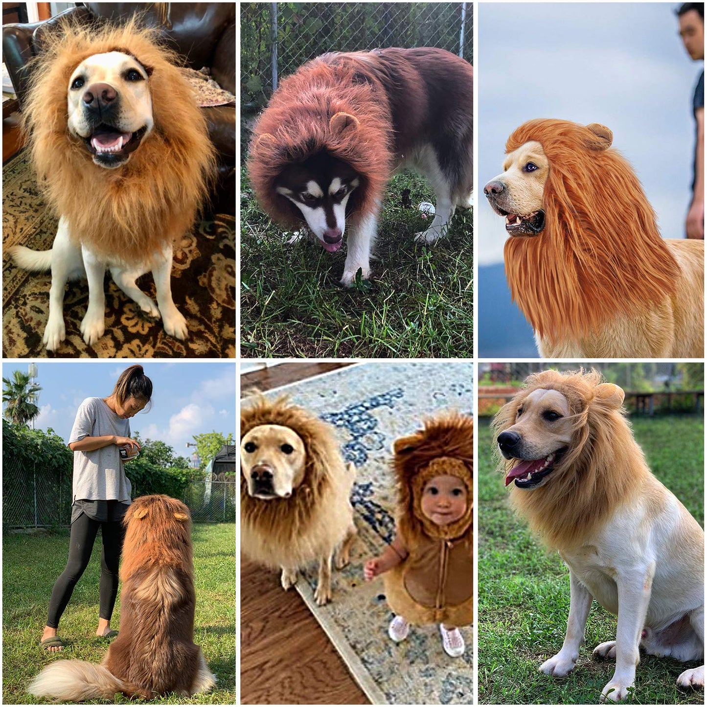 Lion Mane Dog Costume - Halloween & Christmas
