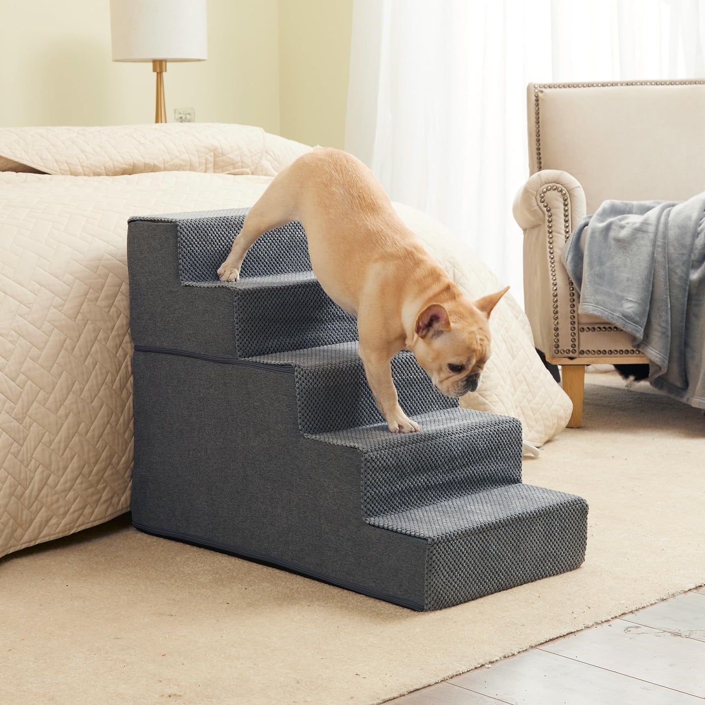 Dog Steps