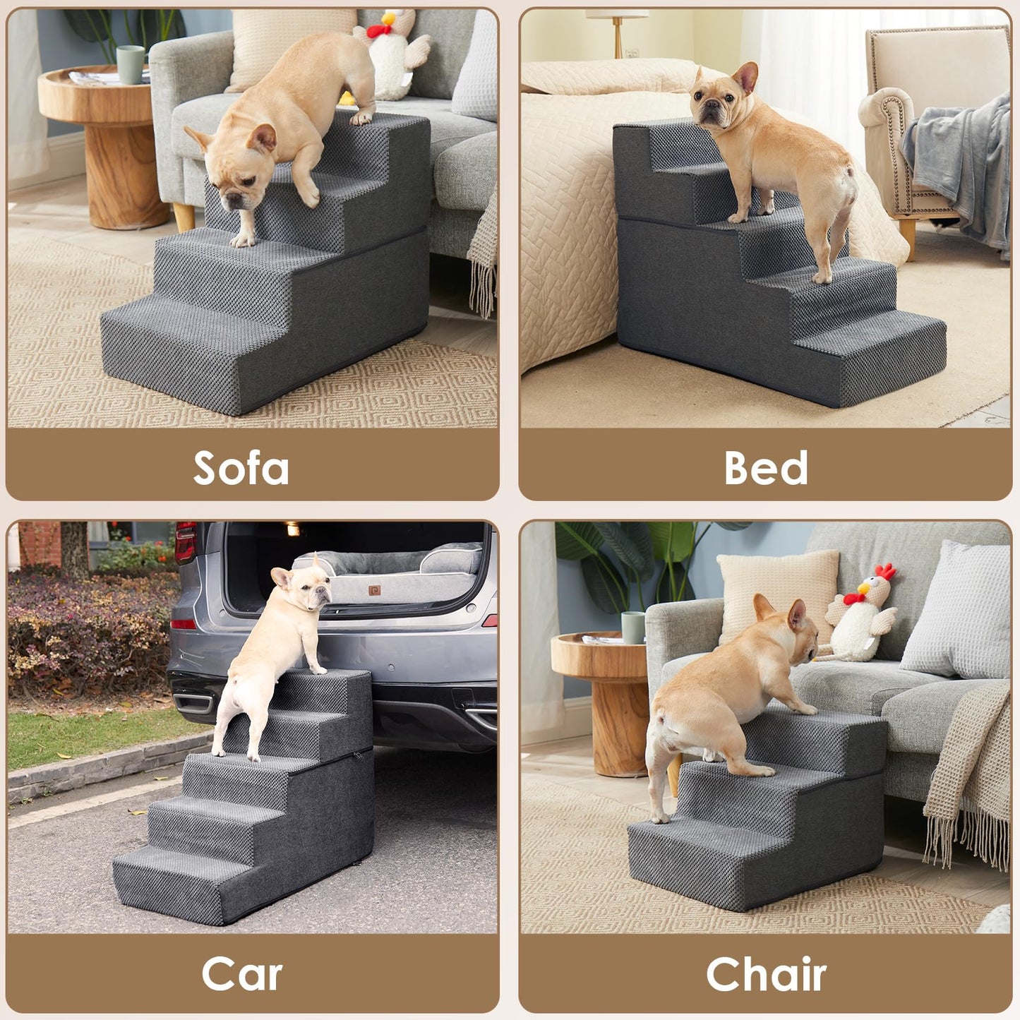 Dog Steps