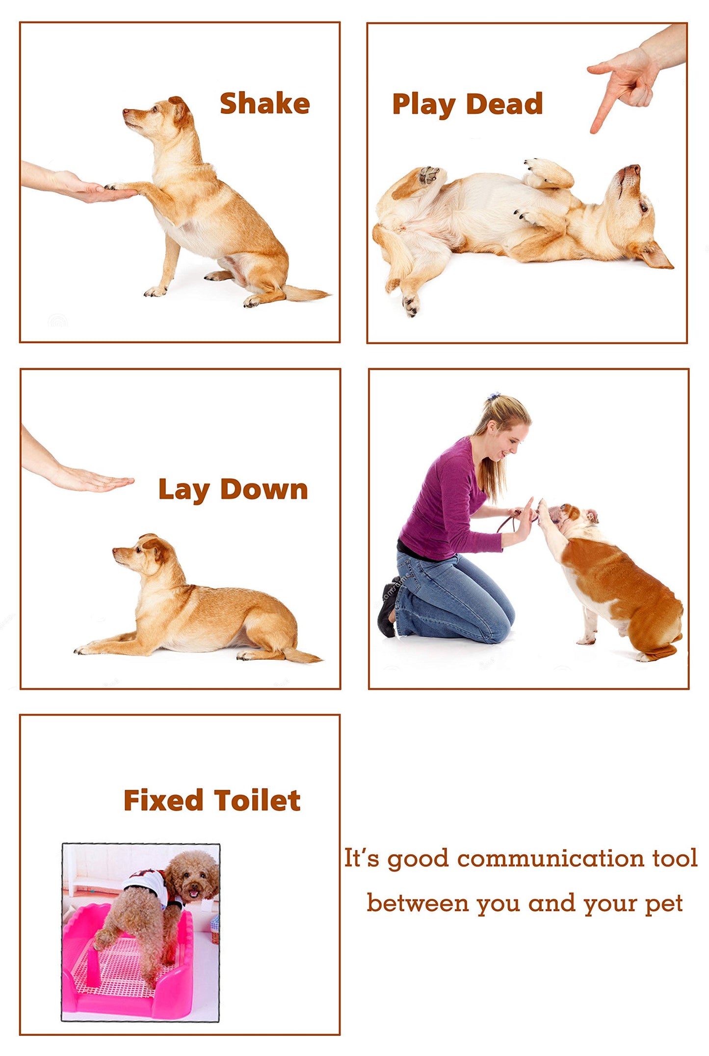 Pet Training Clicker with Wrist Strap