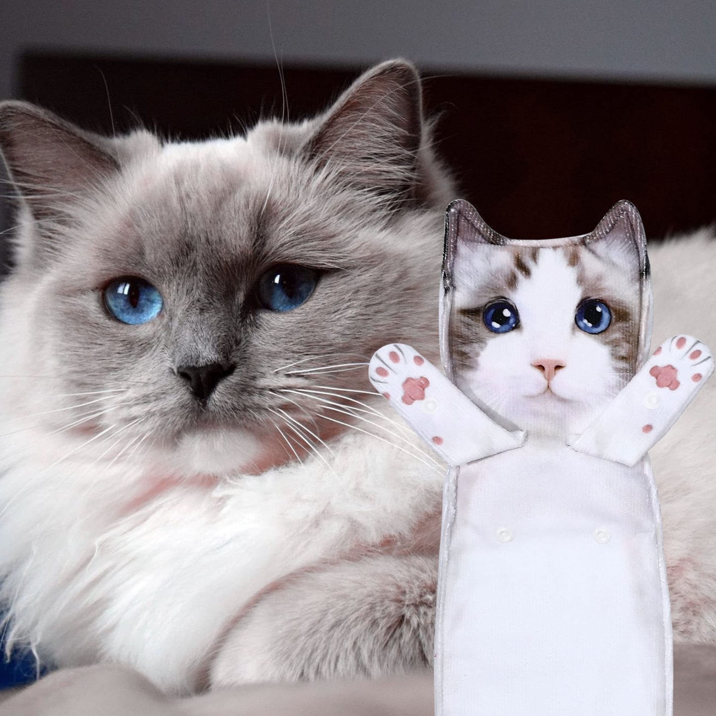 Cat Hand Towels - Cute Decorative