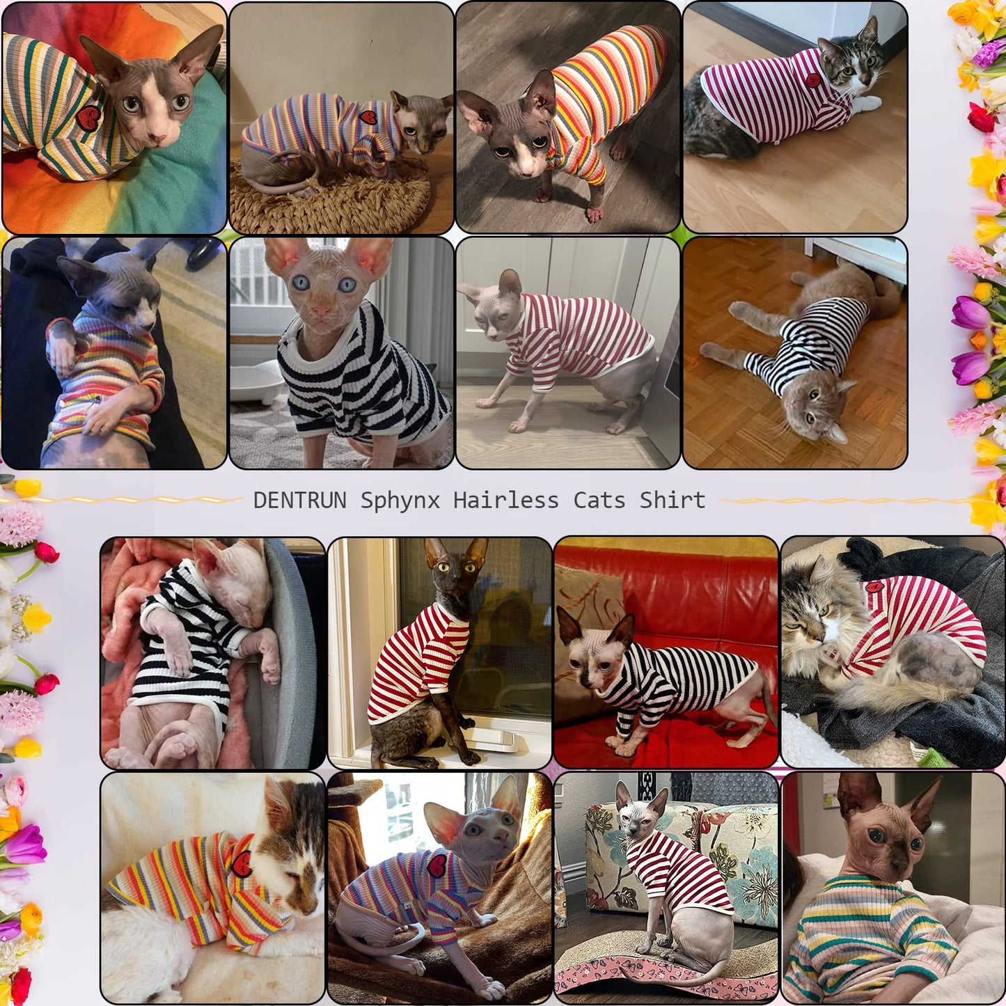 Hairless Cat Shirt - Soft & Skin-Friendly