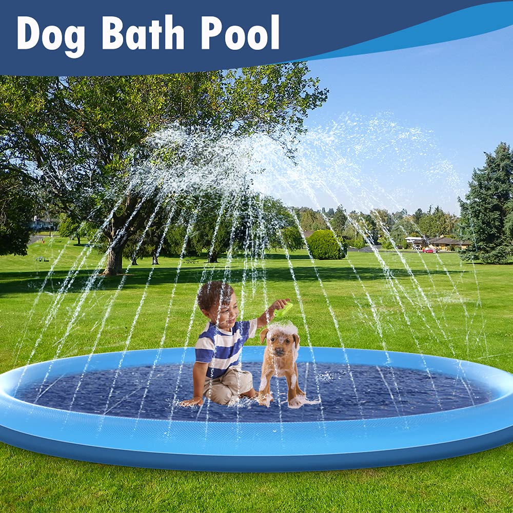 Dog Splash Pad