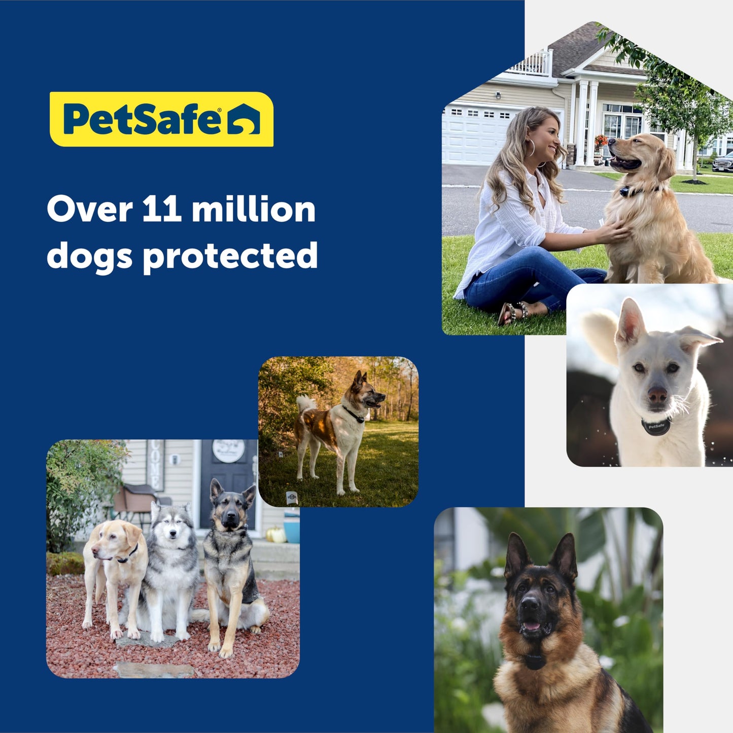 In-Ground Fence for Dogs and Cats