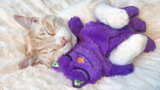 Purr Pillow Kitty Soothing Plush Cat Toy