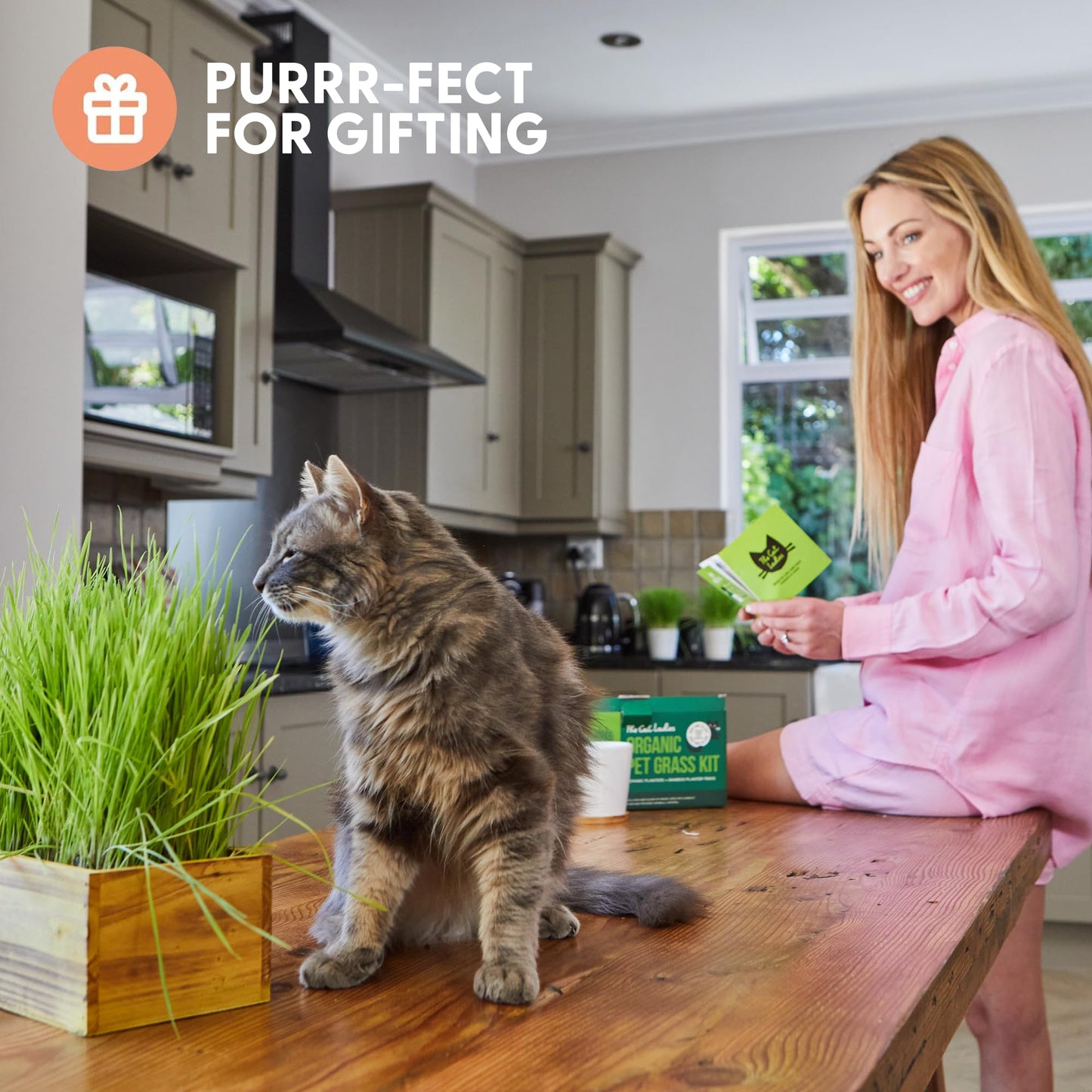 Organic Cat Grass Kit with Planter