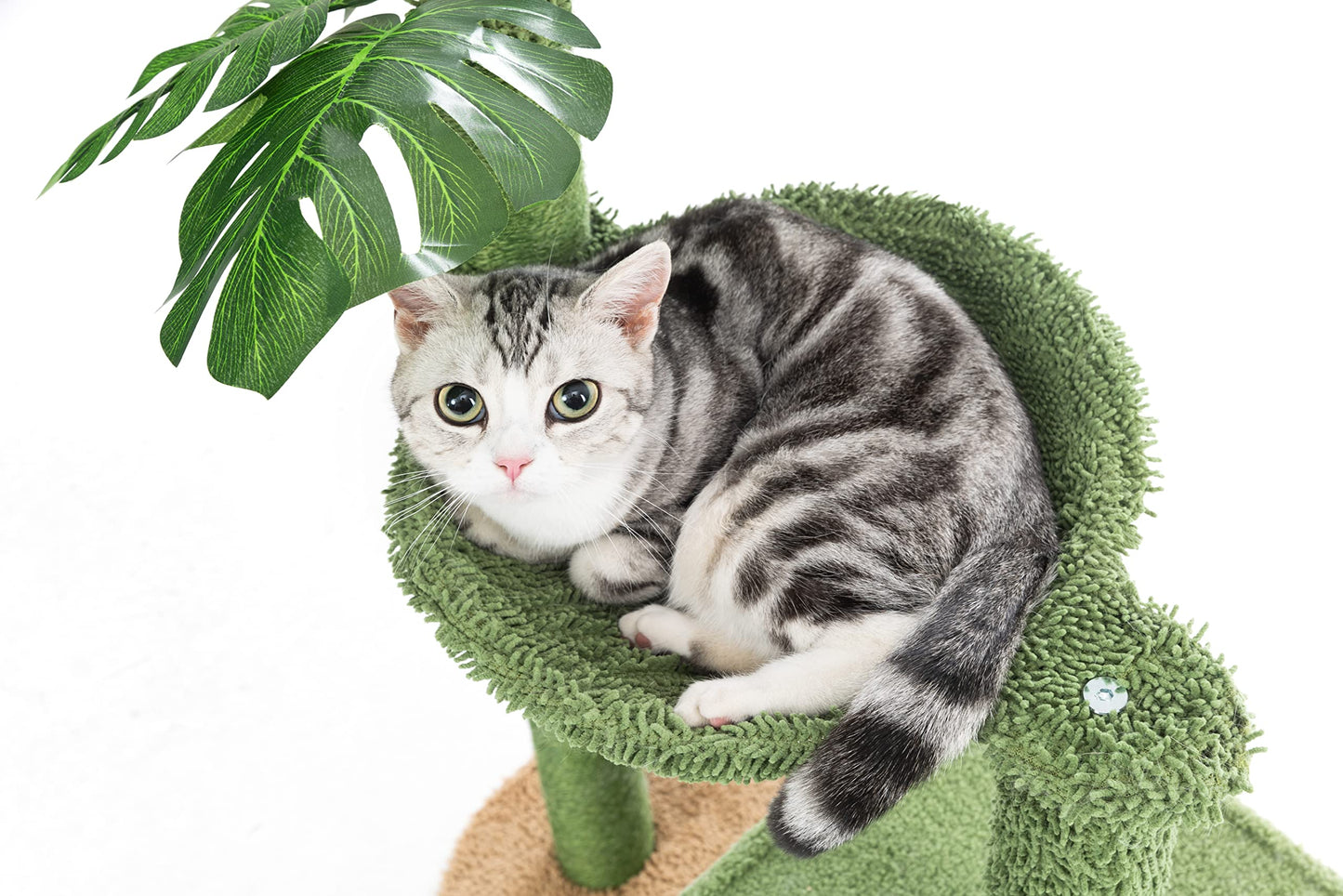 Cactus Cat Tree Condo with Hammock