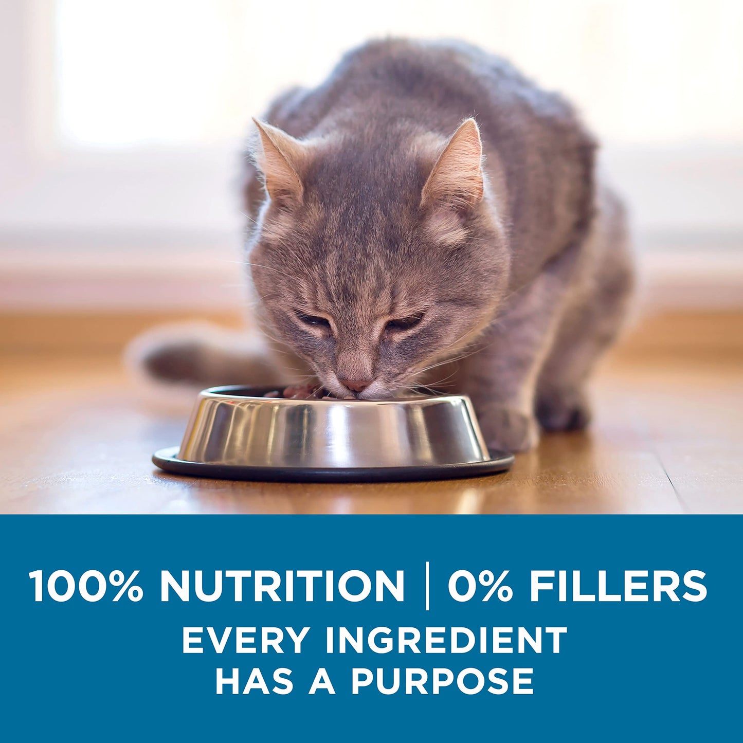 High Protein, Natural Senior Dry Cat Food