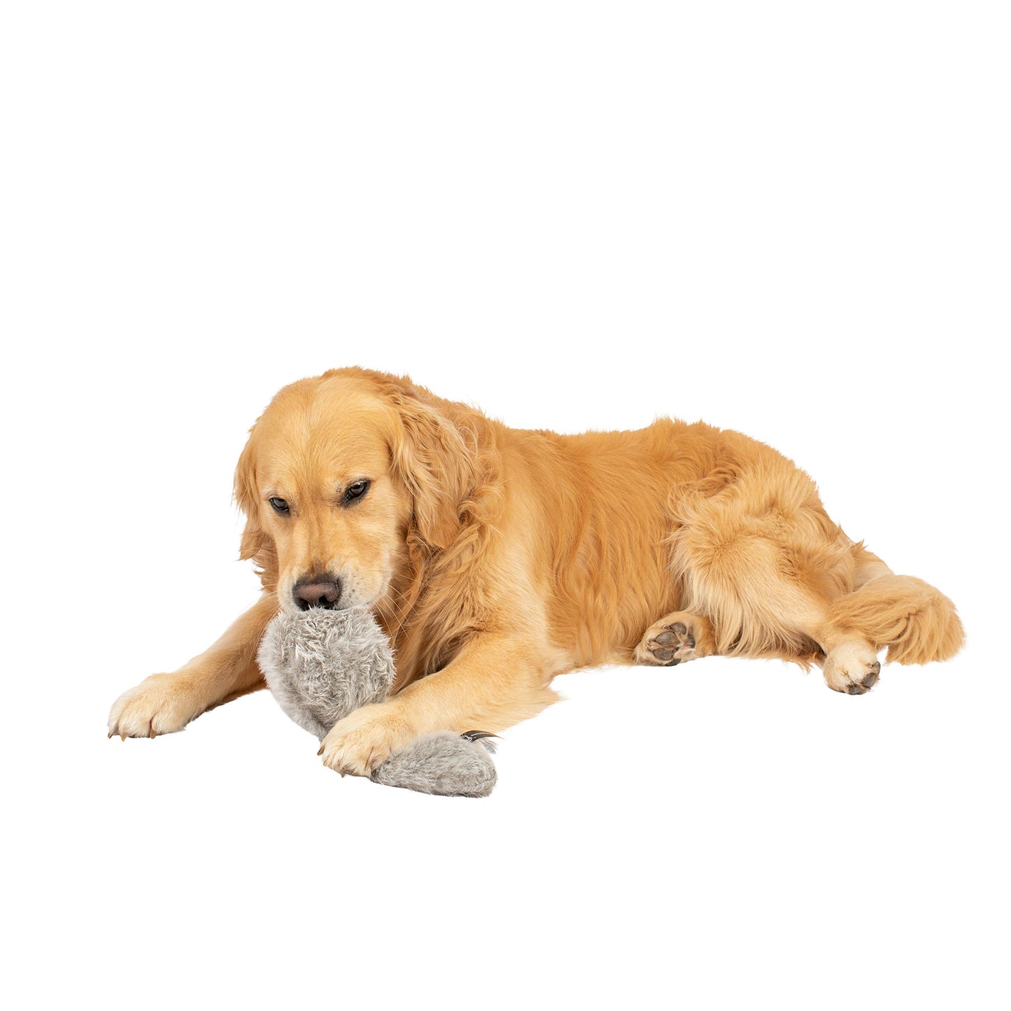 Interactive Plush Dog Toy - Wiggles & Barks
