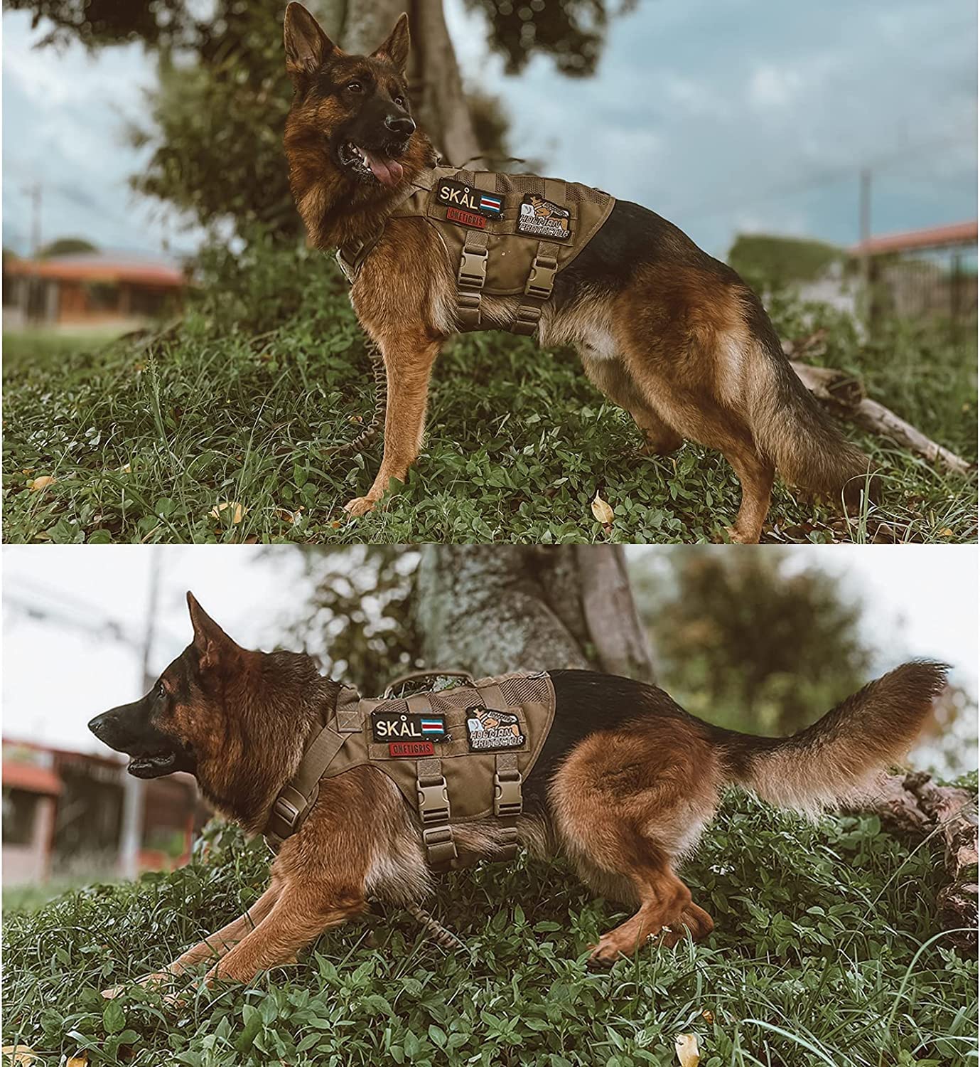Tactical Dog Harness - Brown