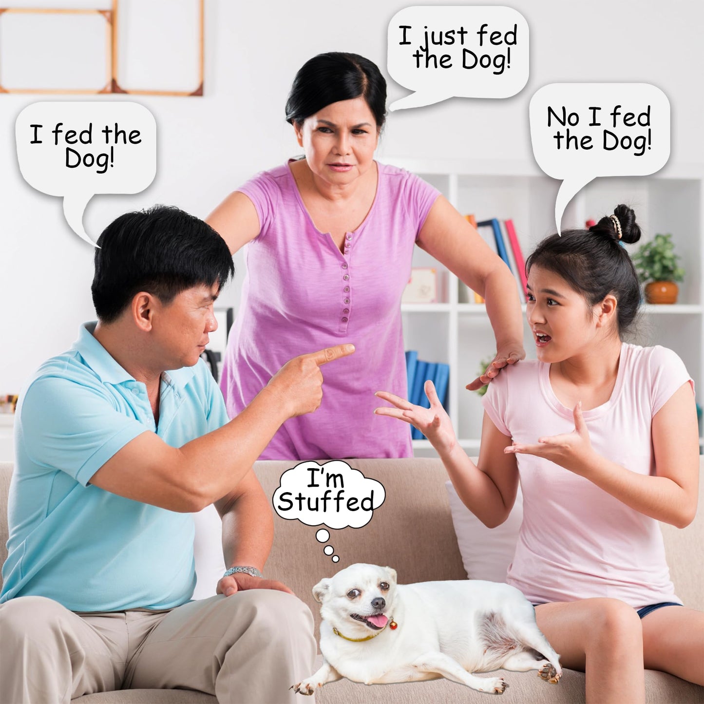 Dog Feeding Reminder Magnet - AM/PM Chart