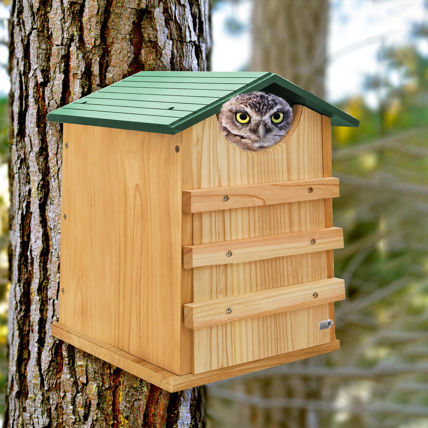 Handmade Cedar Owl House - 14" x 10"