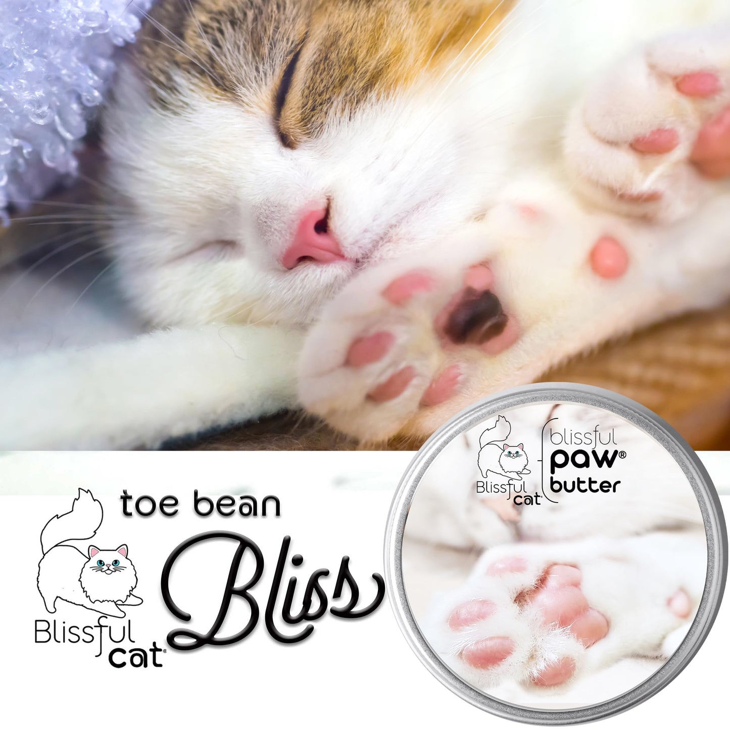 Cat Paw Butter Moisturizer - 2 oz