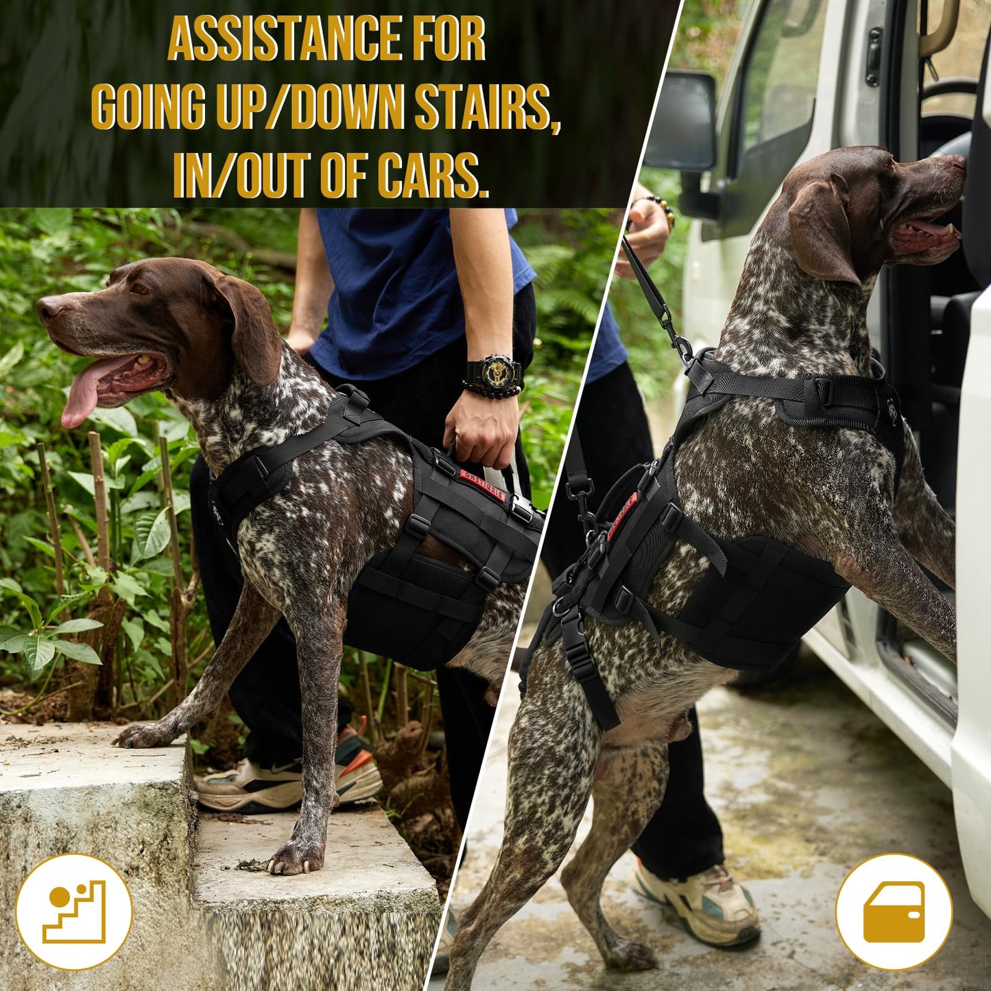 Dog Lift Harness for Large Dogs