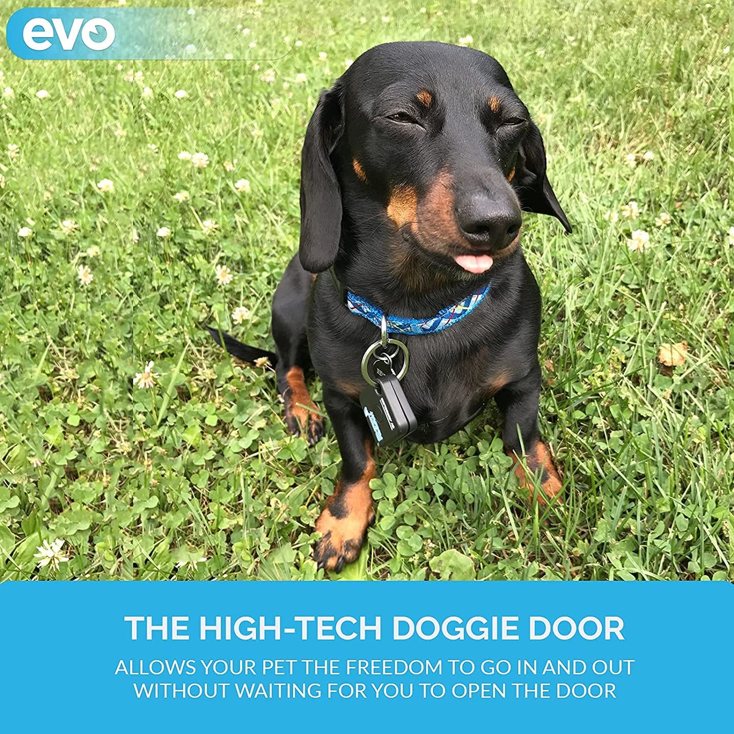 Automatic Sliding Pet Door with RFID Tags