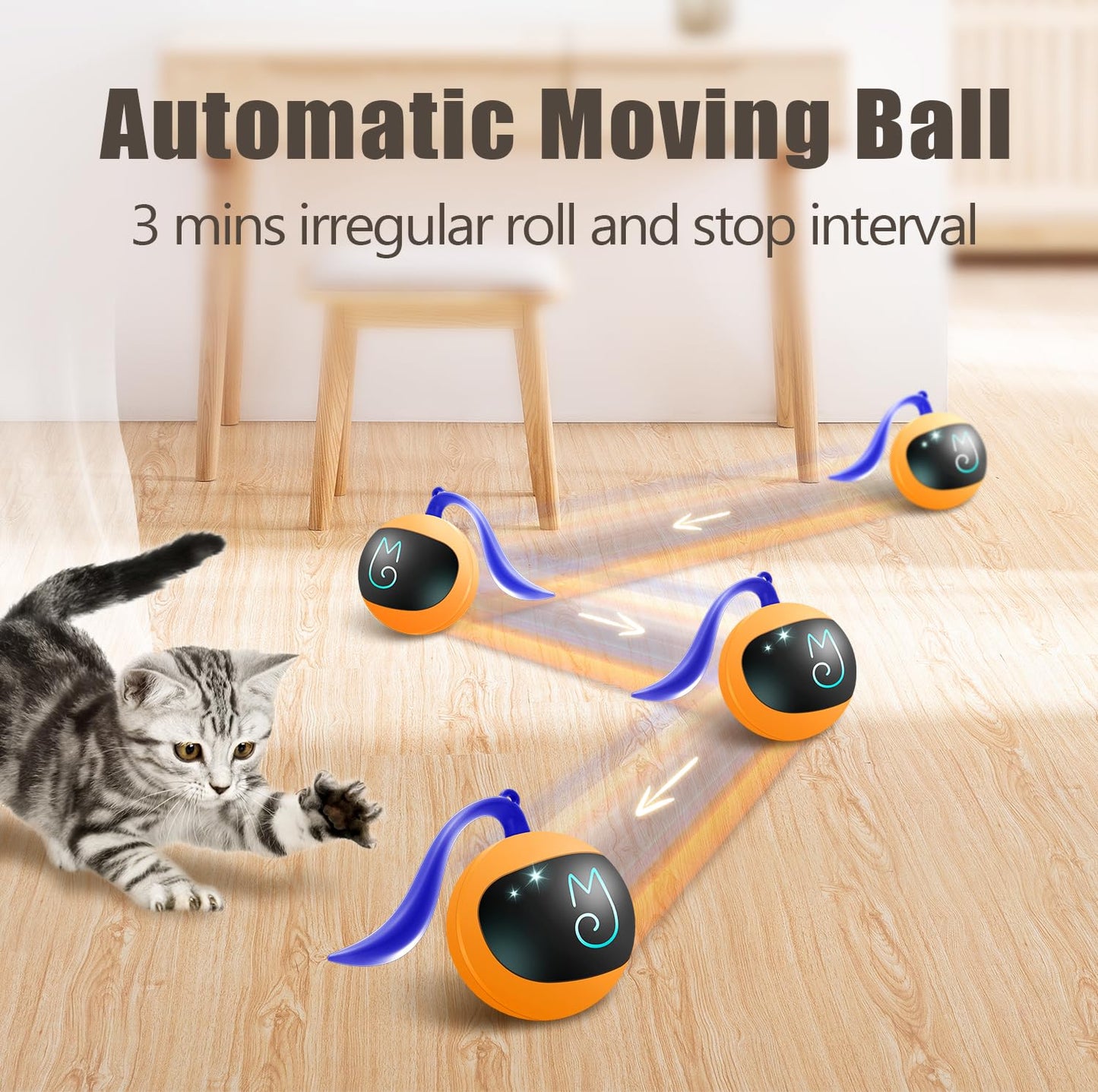 Interactive Cat Toy Set