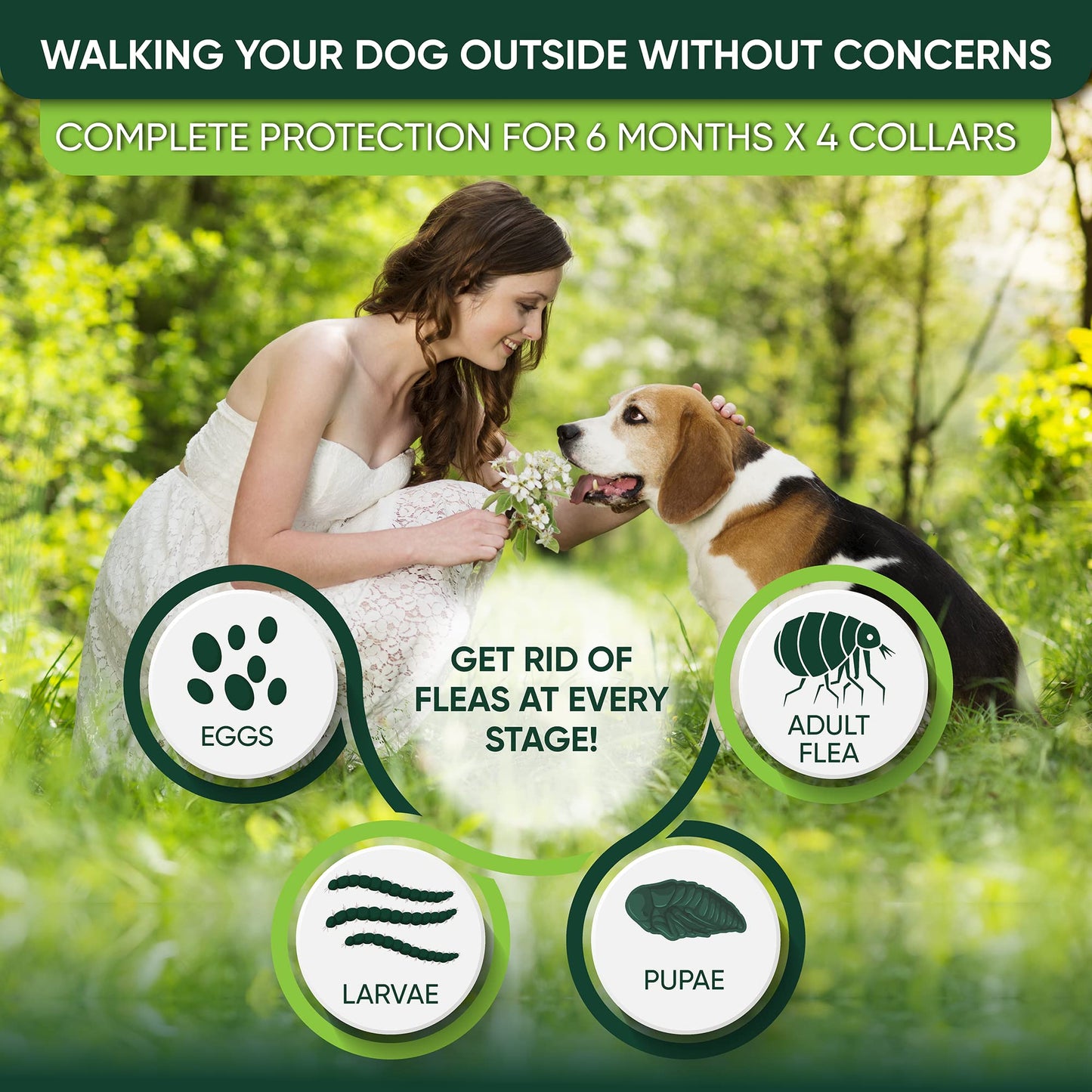 Advanced Dog Flea Collar