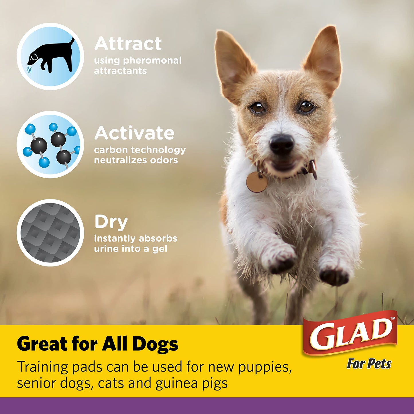 Jumbo Charcoal Puppy Pads - 30 Count