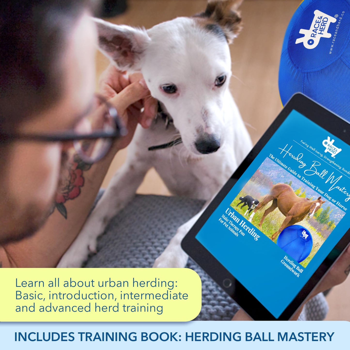 Herding Ball for Dogs - 25" Set