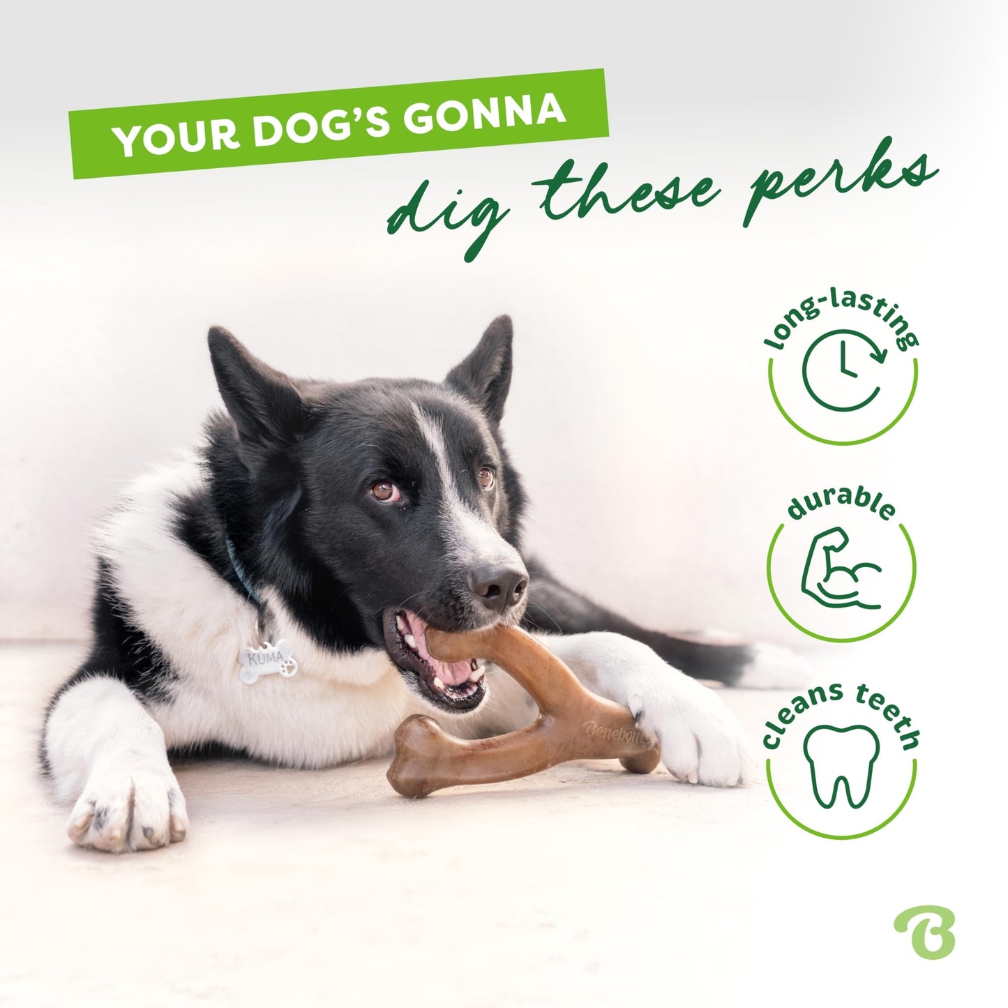 Durable Bacon-Flavored Dog Chew Toy