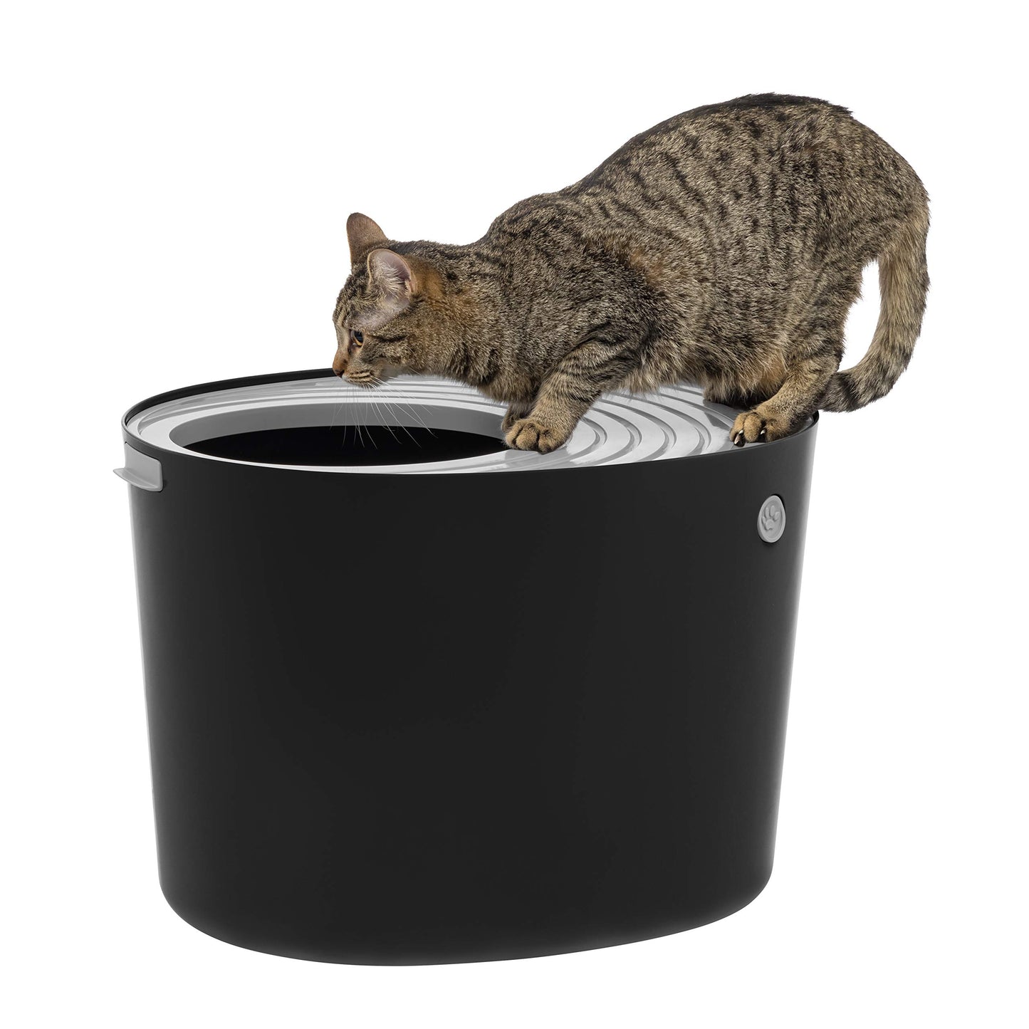 Top Entry Cat Litter Box