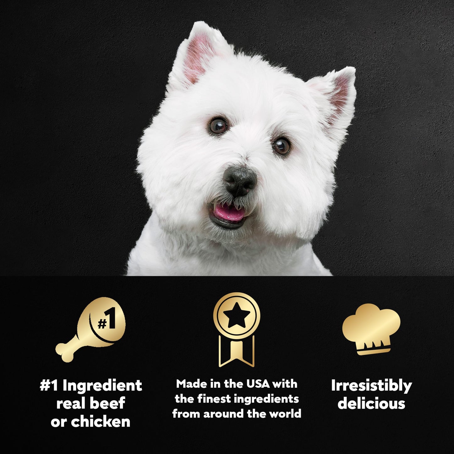 CESAR Wet Dog Food Variety Pack - 24 Trays