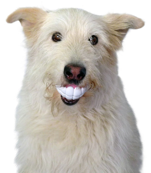 Humunga Chomp Dog Toy