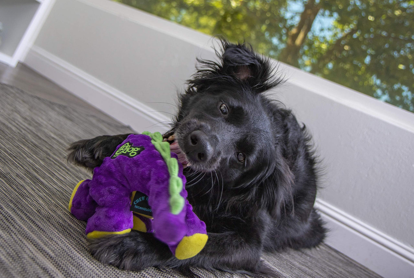 Dinos Squeaky Plush Dog Toy - Large