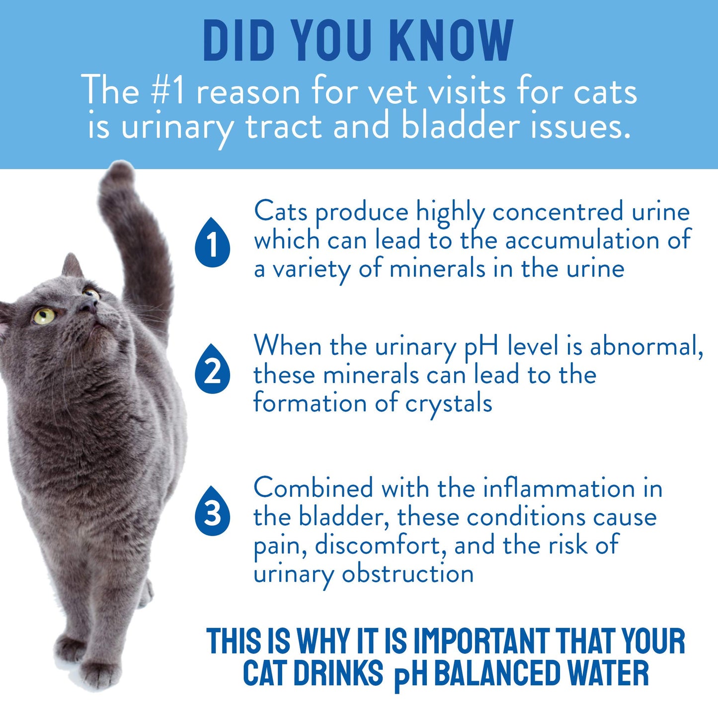 Cat Urinary Formula Water - 2 Pack