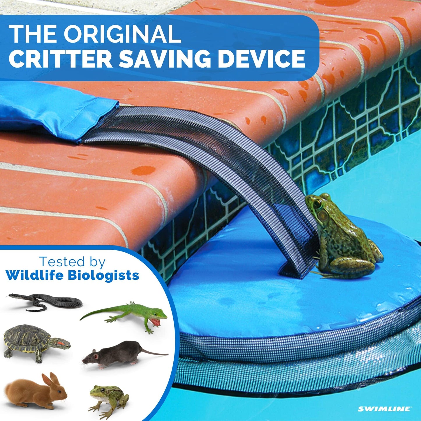 Animal Saving Escape Ramp for Pools