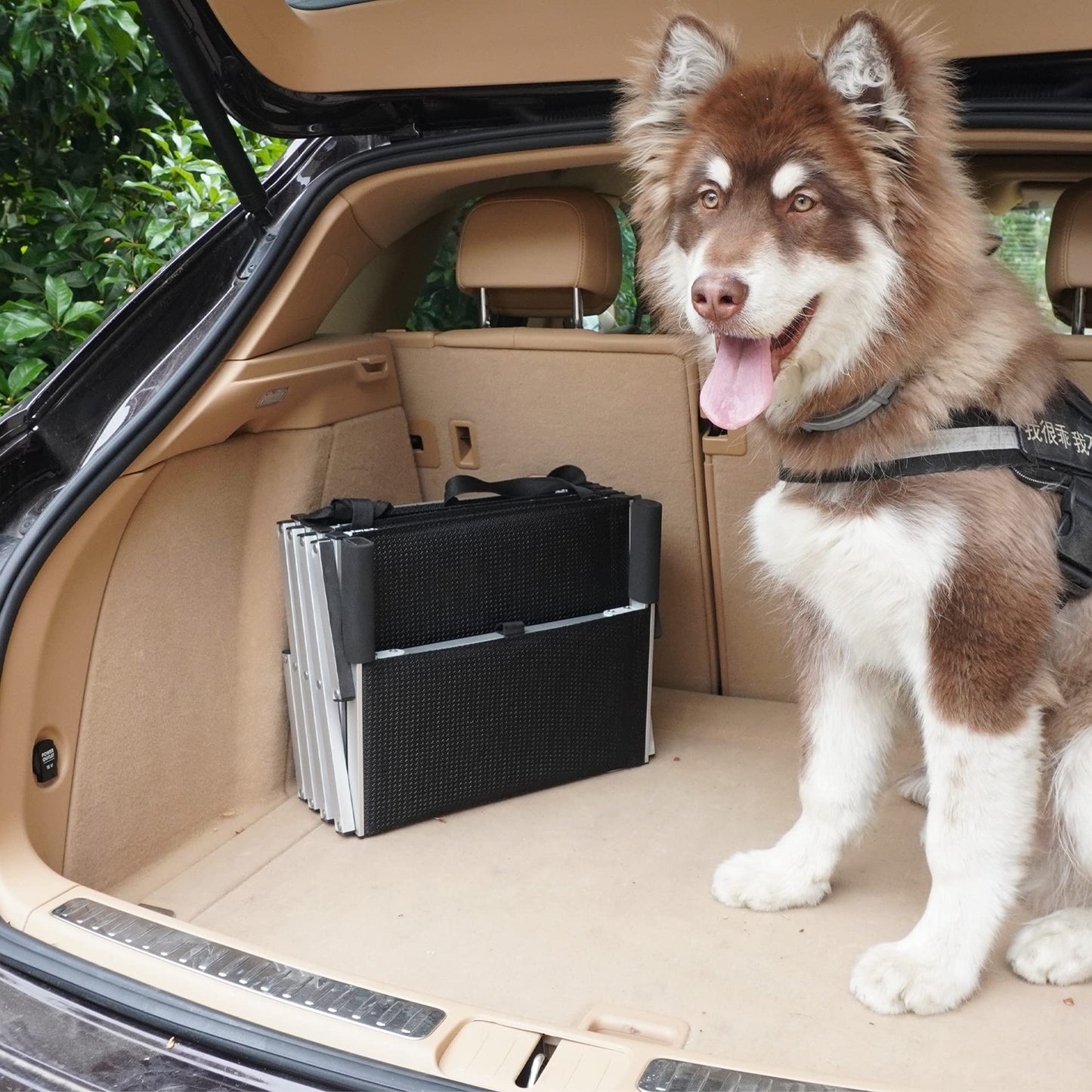 5-Step Dog Ramp - Supports Up to 150 Lbs