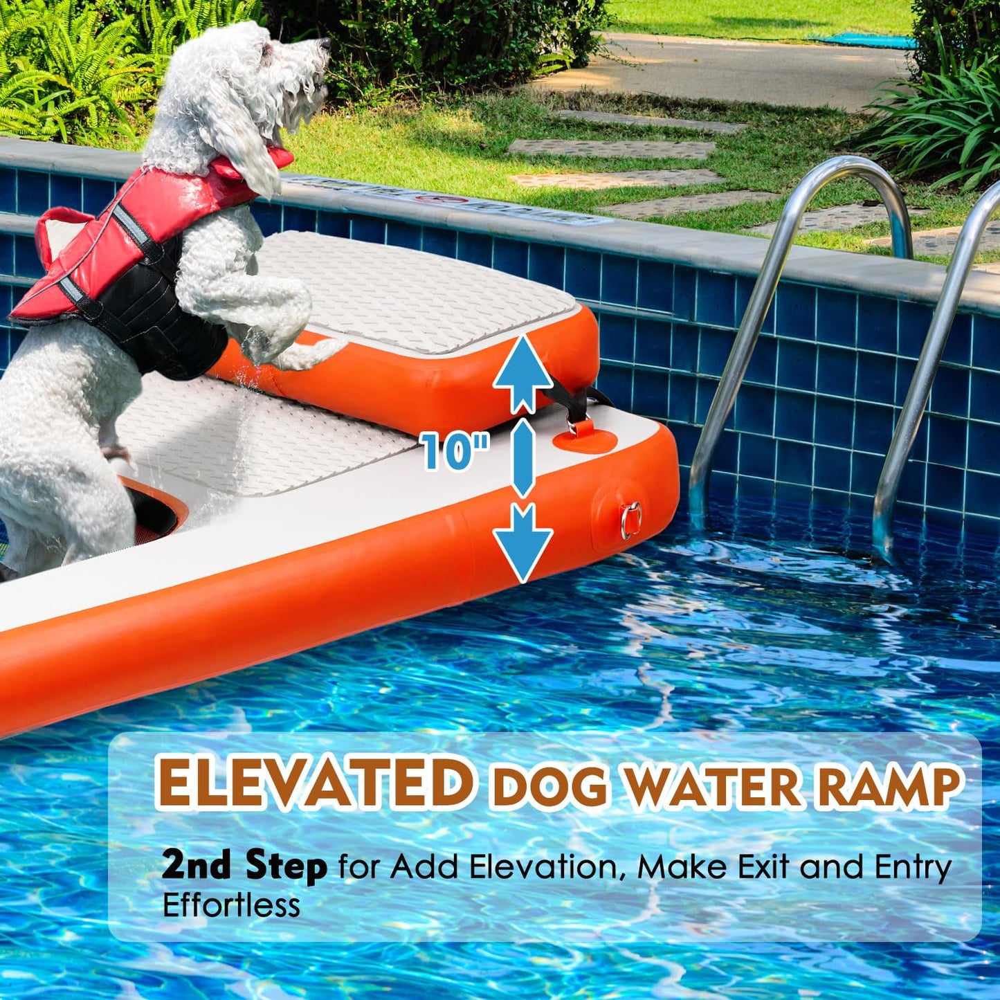 Inflatable Dog Boat & Pool Ramp