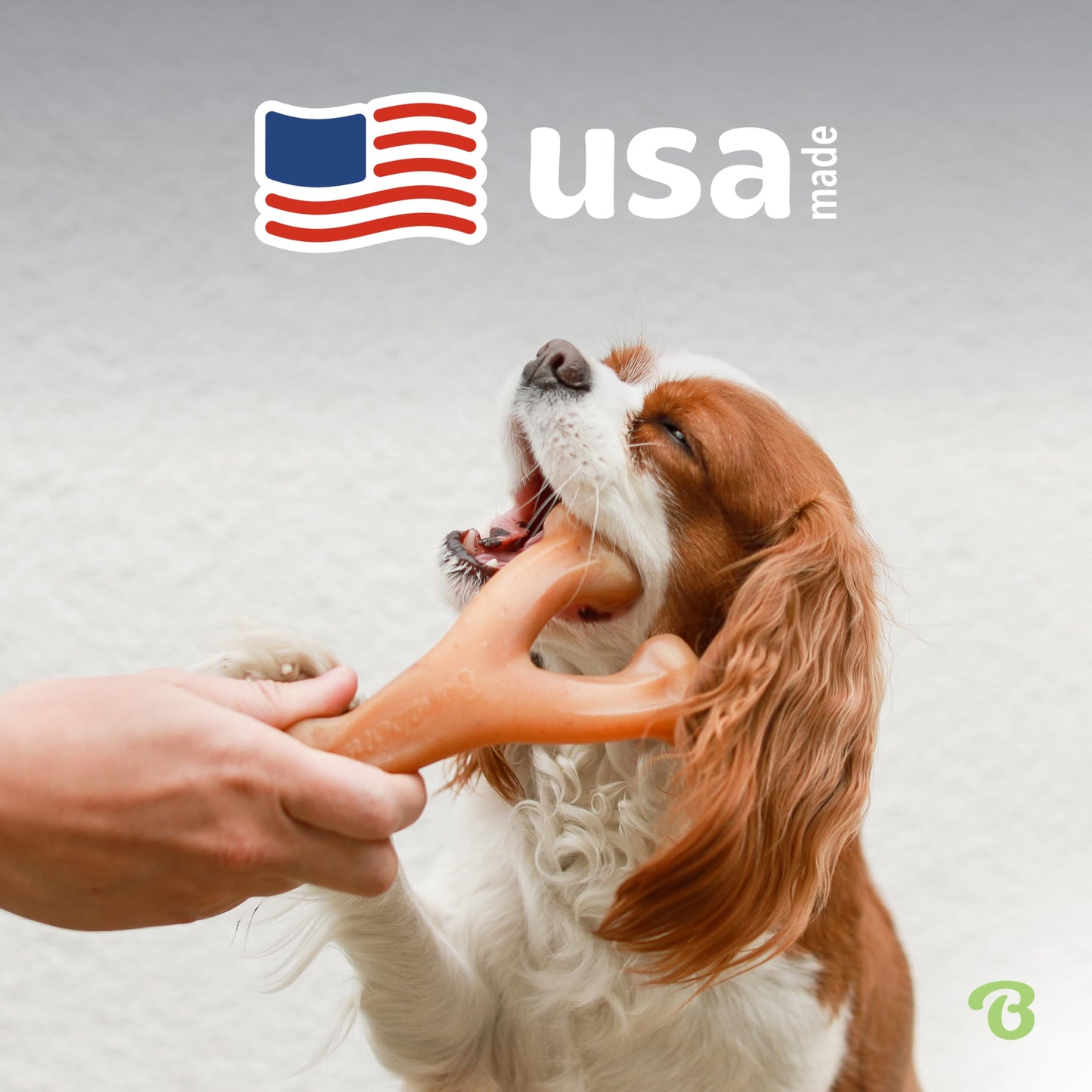 Durable Bacon-Flavored Dog Chew Toy